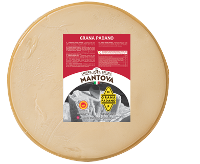 GRANA PADANO DOP 1/2 FORMA SOTTOVUOTO 10/12 MESI