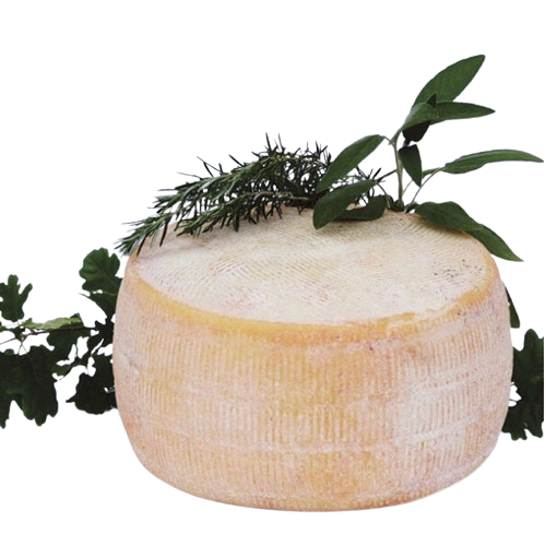 PECORINO ALTA MURGIA 2,2Kg APROX "CORATINO"