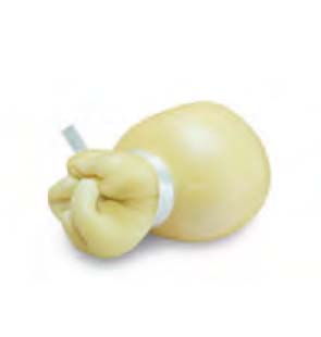 SCAMORZA DETERIORABILE