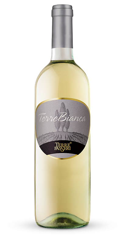 VINO BIANCO 10,5º 0'75Lt TERRE PASSERI